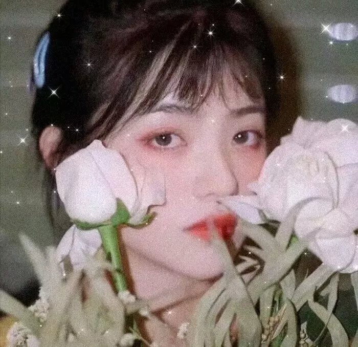 罪恶的编年史